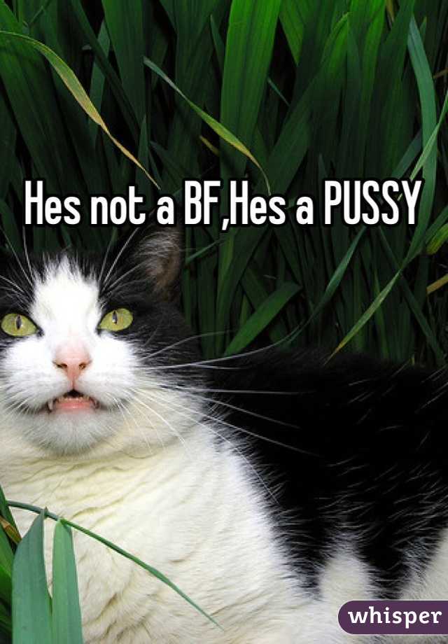 Hes not a BF,Hes a PUSSY