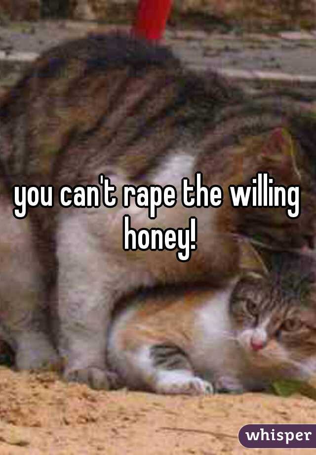 you can't rape the willing honey!