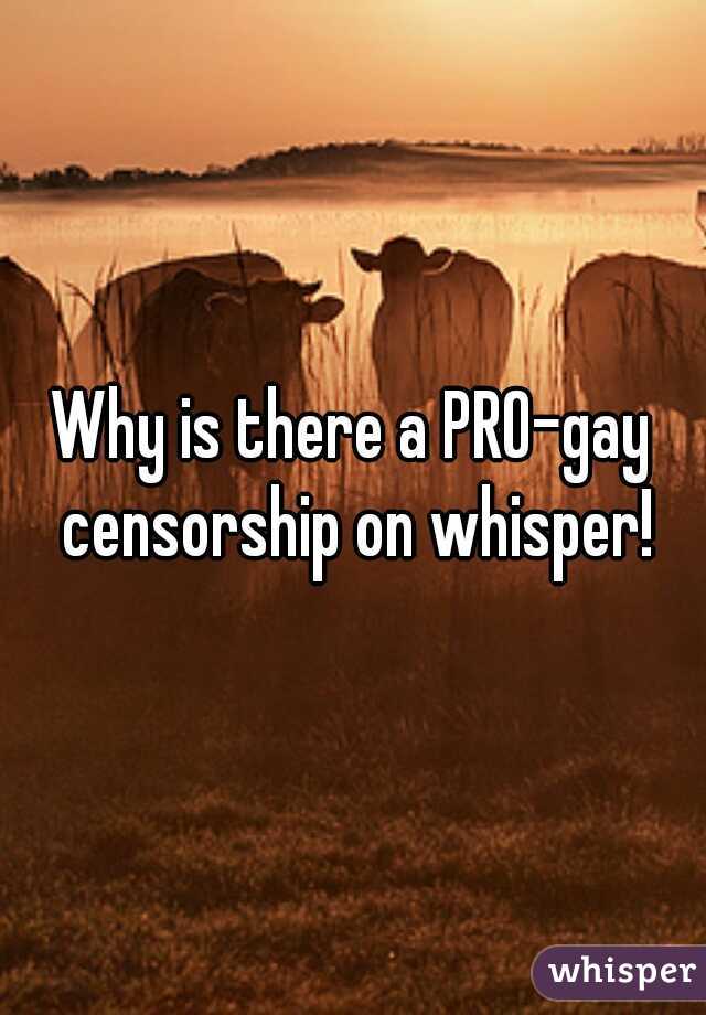 Why is there a PRO-gay censorship on whisper!