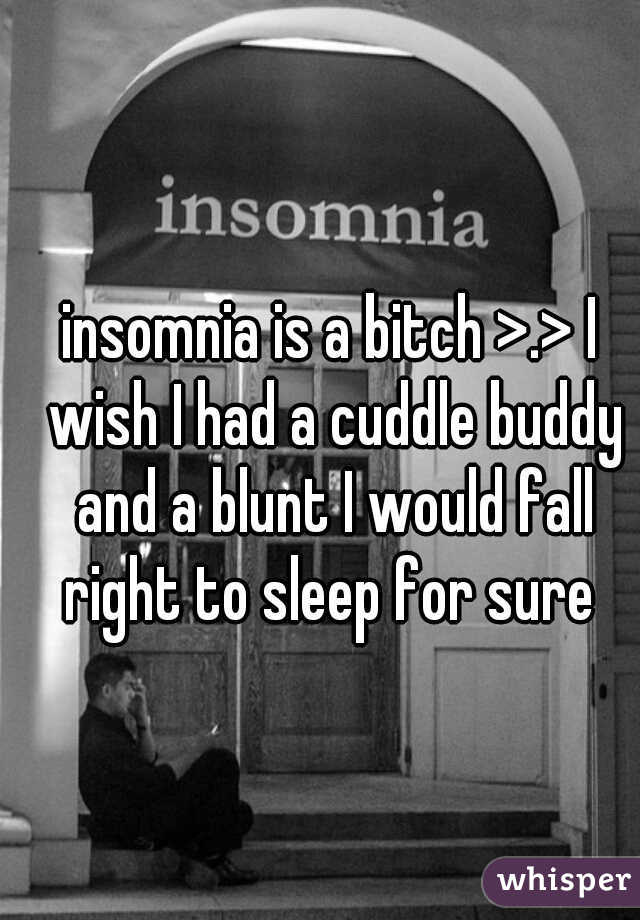 insomnia is a bitch >.> I wish I had a cuddle buddy and a blunt I would fall right to sleep for sure 