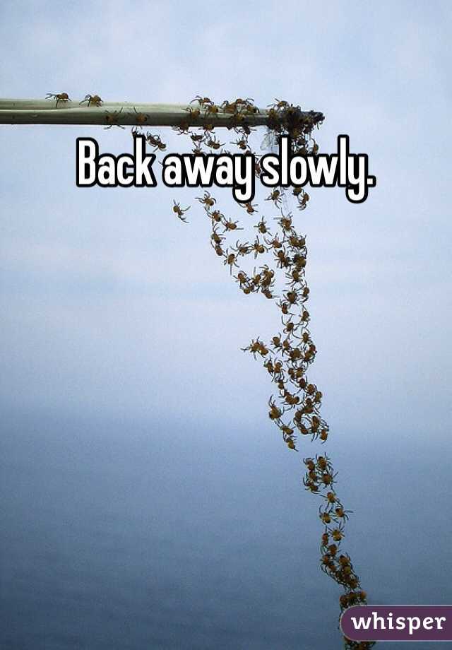 Back away slowly.