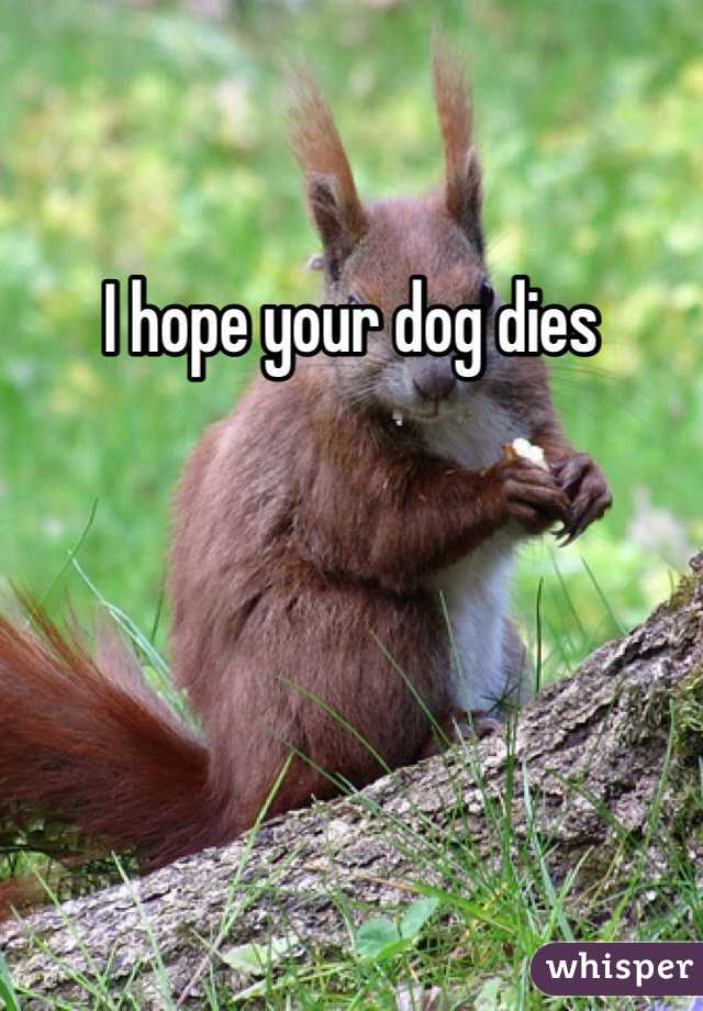 I hope your dog dies