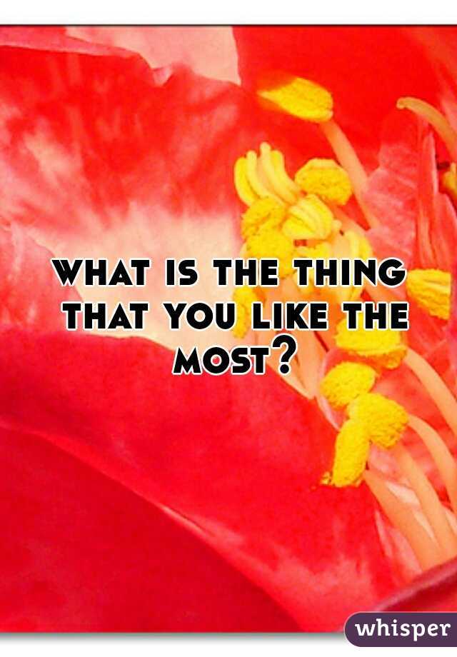 what is the thing that you like the most?