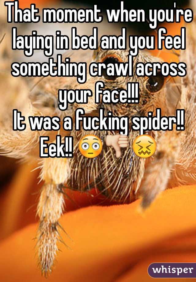 That moment when you're laying in bed and you feel something crawl across your face!!! 
It was a fucking spider!! Eek!! 😳👎😖