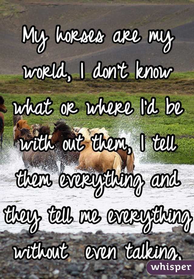 My horses are my world, I don't know what or where I'd be with out them, I tell them everything and they tell me everything without  even talking, the joy of having horses:) 