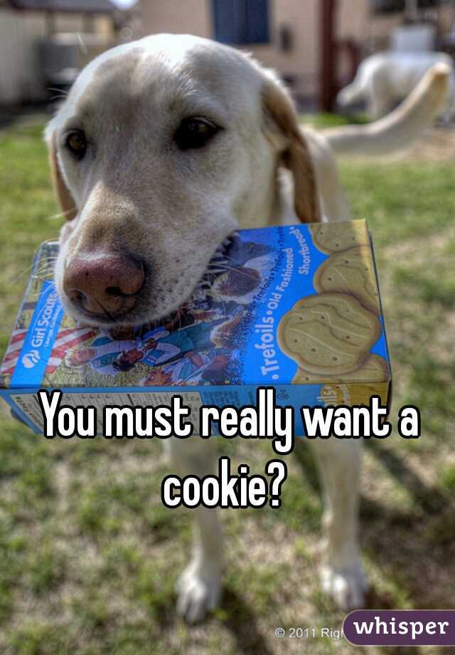 You must really want a cookie?  