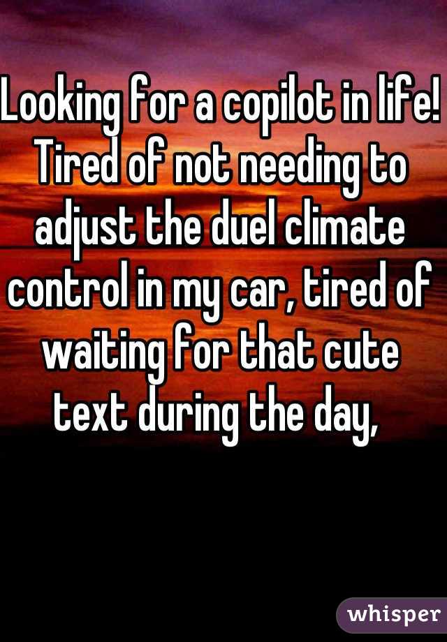 Looking for a copilot in life! Tired of not needing to adjust the duel climate control in my car, tired of waiting for that cute text during the day, 