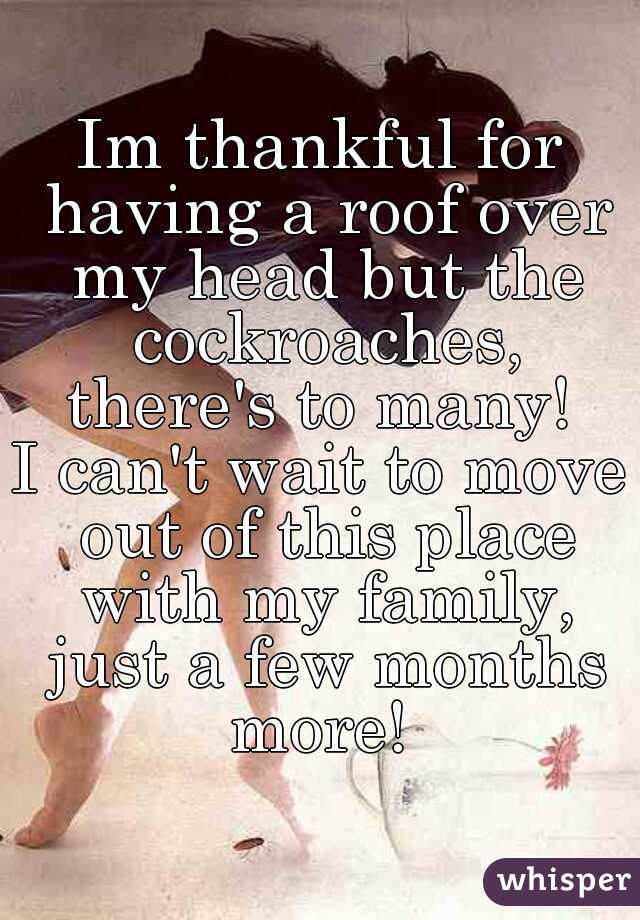 Im thankful for having a roof over my head but the cockroaches, there's to many! 
I can't wait to move out of this place with my family, just a few months more! 