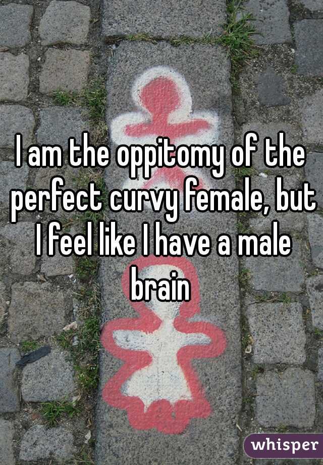 I am the oppitomy of the perfect curvy female, but I feel like I have a male brain 