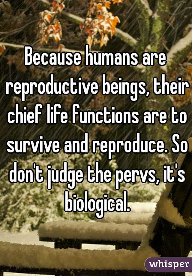 Because humans are reproductive beings, their chief life functions are to survive and reproduce. So don't judge the pervs, it's biological.