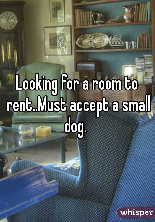 Looking for a room to rent..Must accept a small dog.  