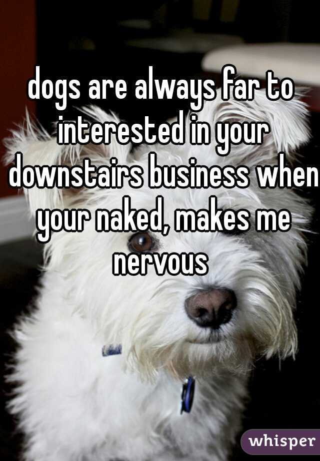 dogs are always far to interested in your downstairs business when your naked, makes me nervous 