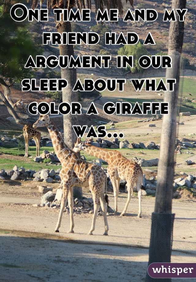 One time me and my friend had a argument in our sleep about what color a giraffe was...