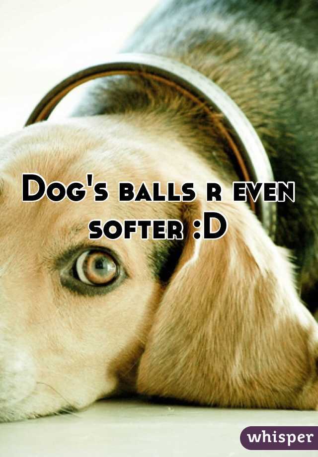 Dog's balls r even softer :D 