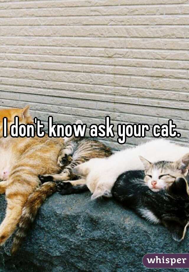 I don't know ask your cat. 