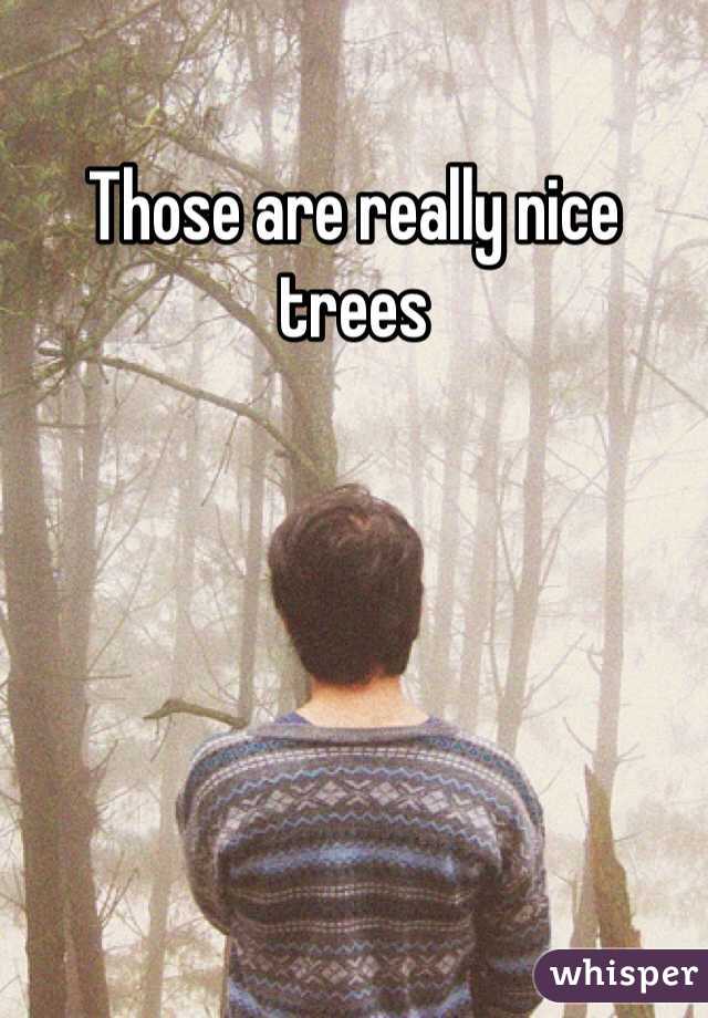 Those are really nice trees 