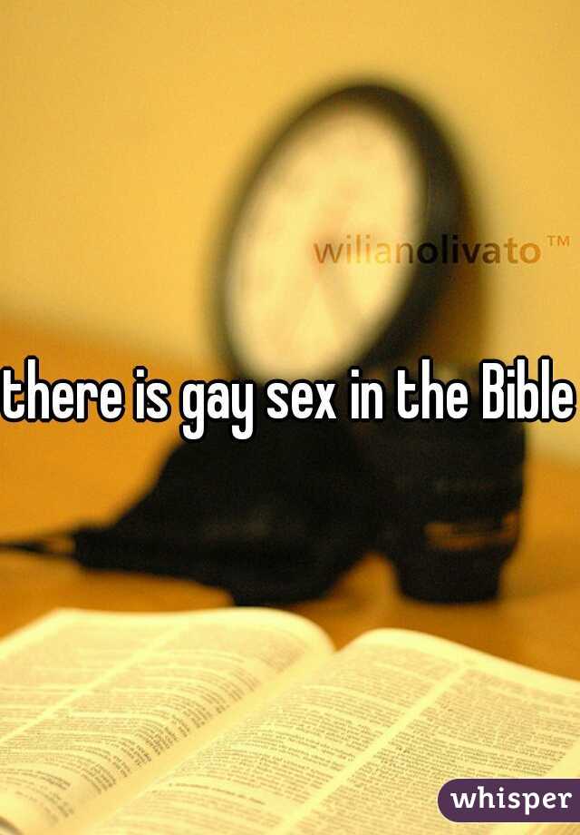 there is gay sex in the Bible