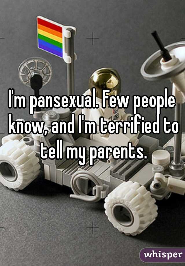 I'm pansexual. Few people know, and I'm terrified to tell my parents.
