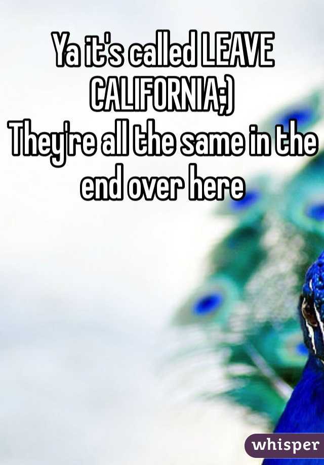 Ya it's called LEAVE CALIFORNIA;)
They're all the same in the end over here