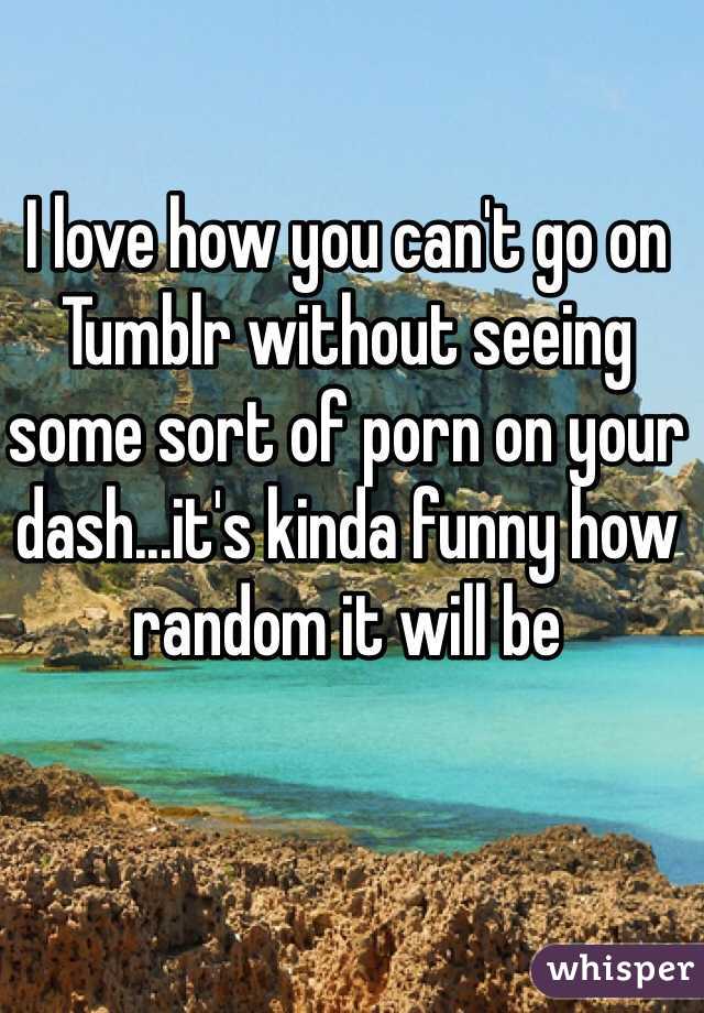 I love how you can't go on Tumblr without seeing some sort of porn on your dash...it's kinda funny how random it will be