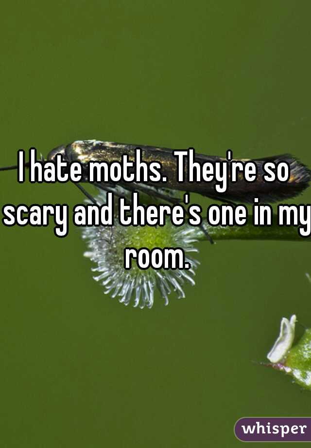 I hate moths. They're so scary and there's one in my room.
