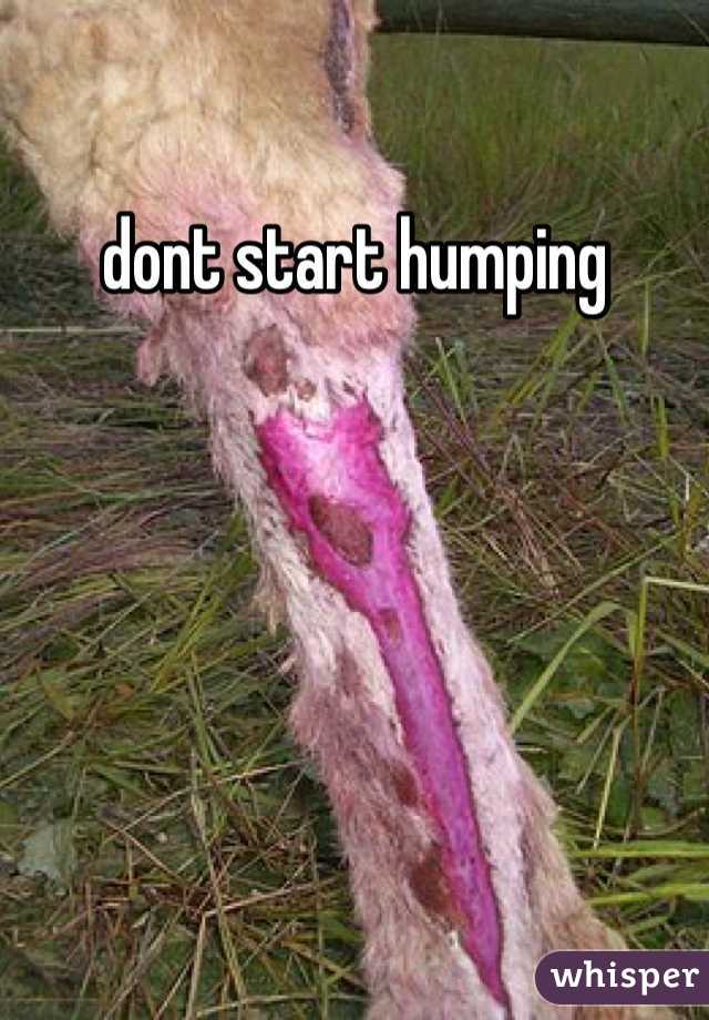 dont start humping