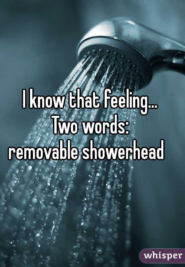 I know that feeling... 
Two words: 
removable showerhead   