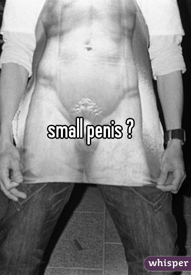 small penis ?  