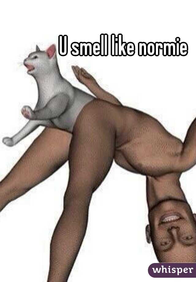 U smell like normie 