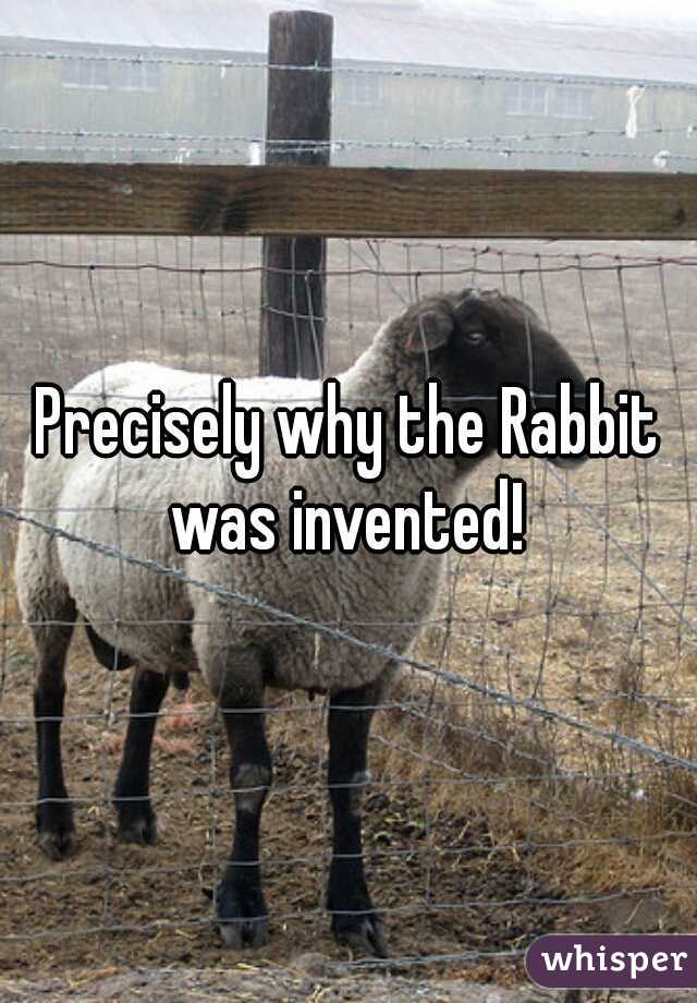 Precisely why the Rabbit was invented! 