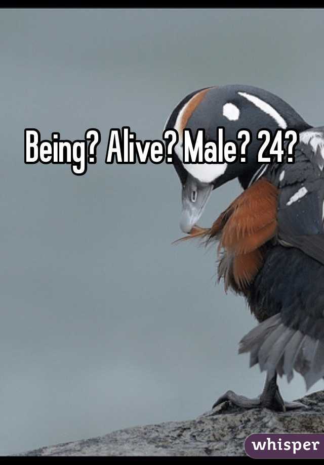 Being? Alive? Male? 24? 