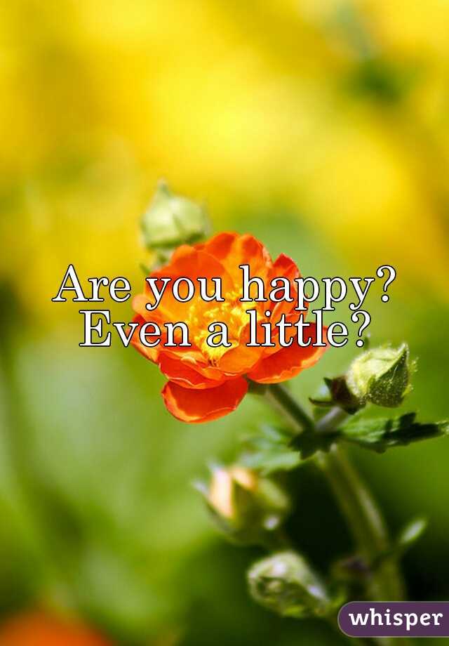 Are you happy? Even a little? 