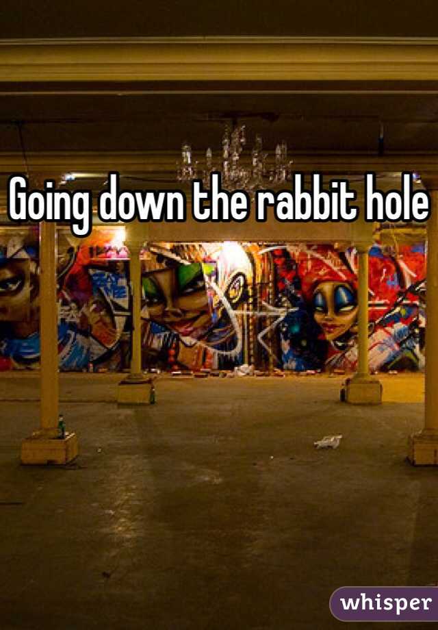 Going down the rabbit hole