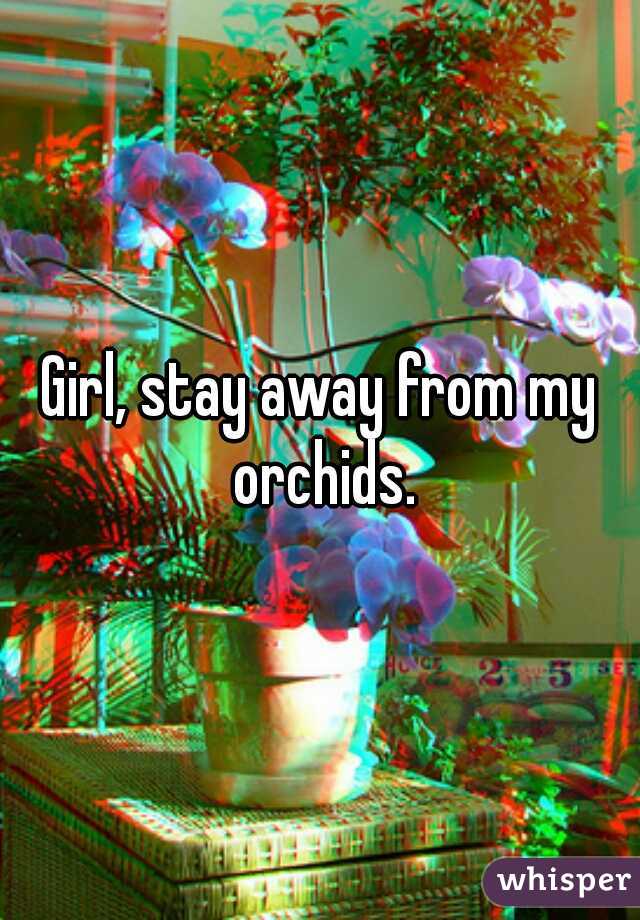 Girl, stay away from my orchids.