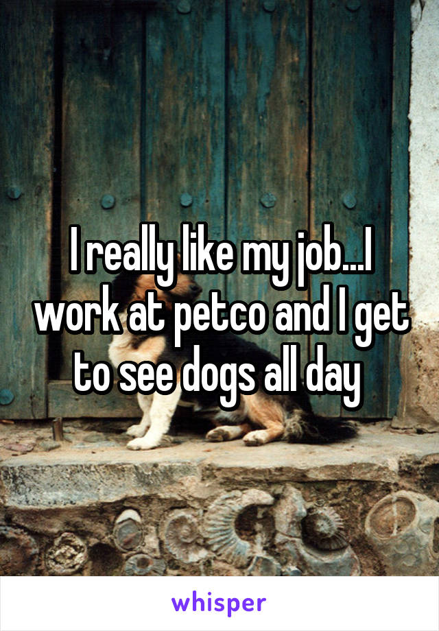 I really like my job...I work at petco and I get to see dogs all day 