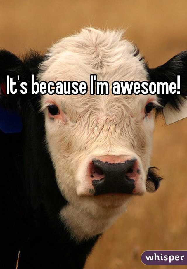 It's because I'm awesome!