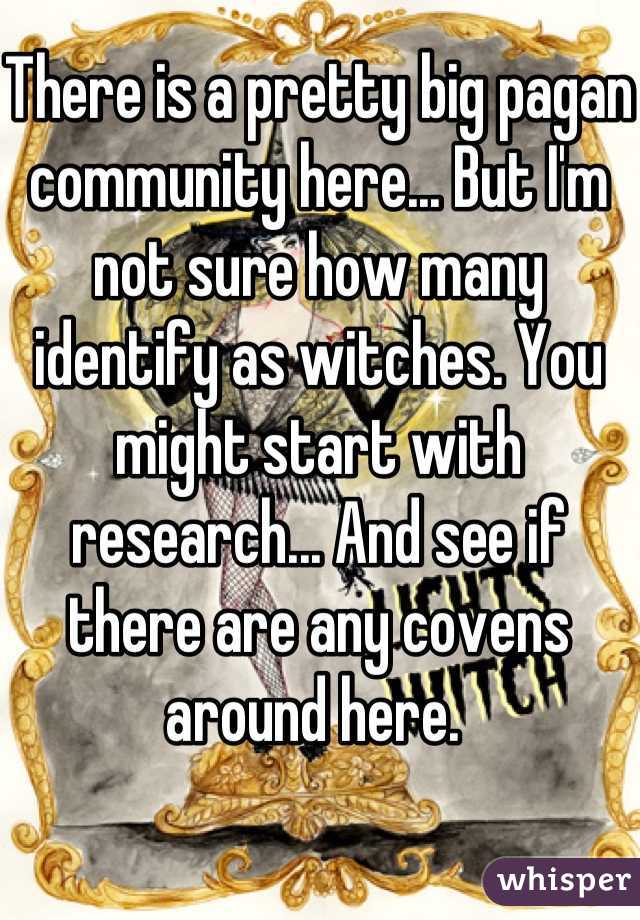 There is a pretty big pagan community here... But I'm not sure how many identify as witches. You might start with research... And see if there are any covens around here. 