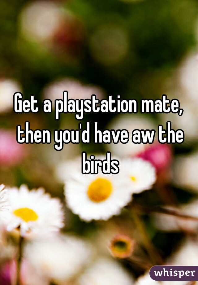 Get a playstation mate, then you'd have aw the birds