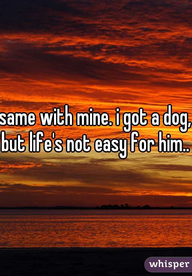 same with mine. i got a dog, but life's not easy for him..