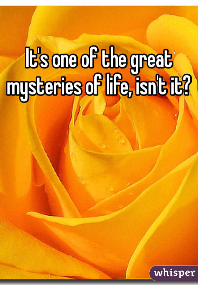 It's one of the great mysteries of life, isn't it?