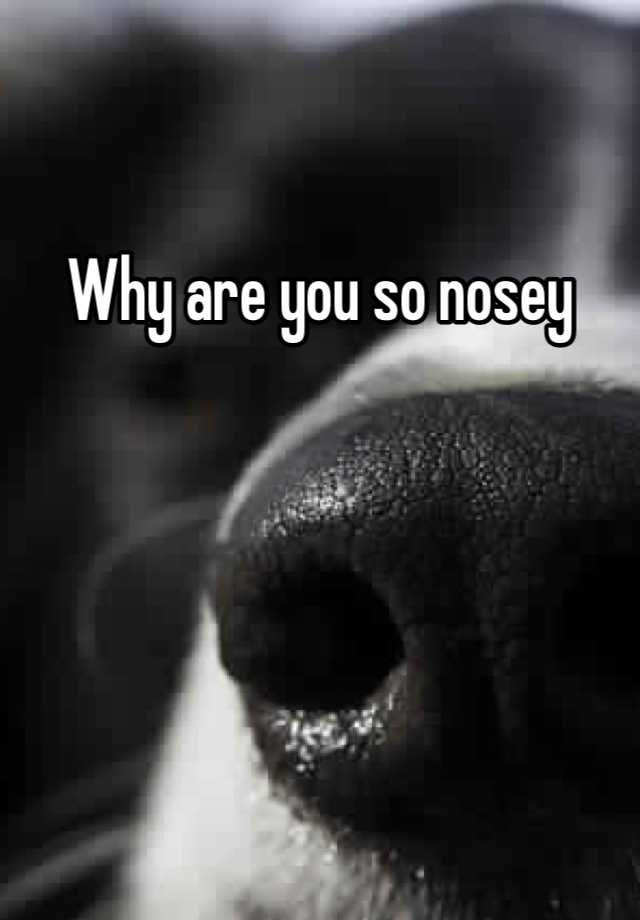 why-are-you-so-nosey