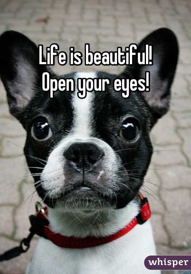 Life is beautiful!
Open your eyes!