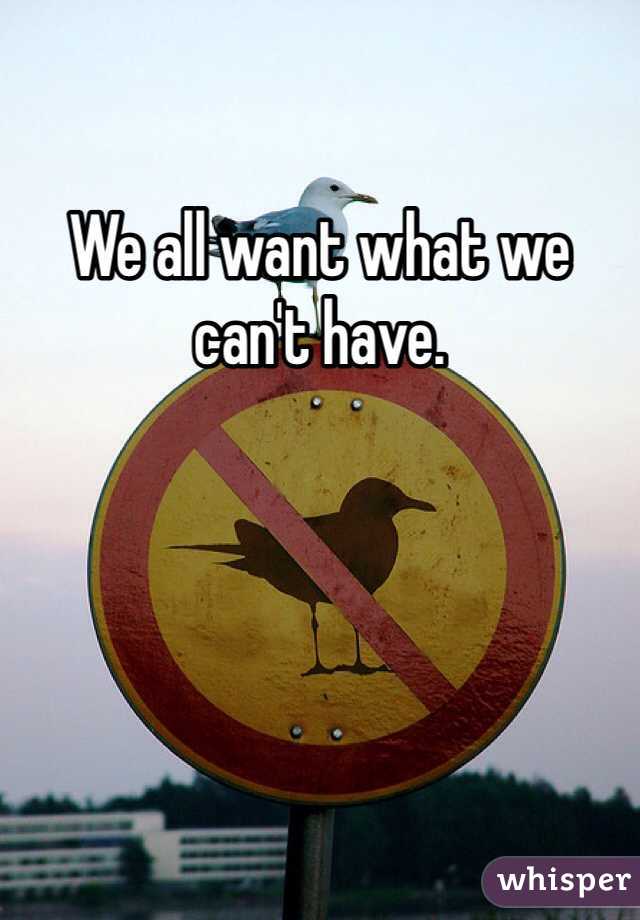 We all want what we can't have.