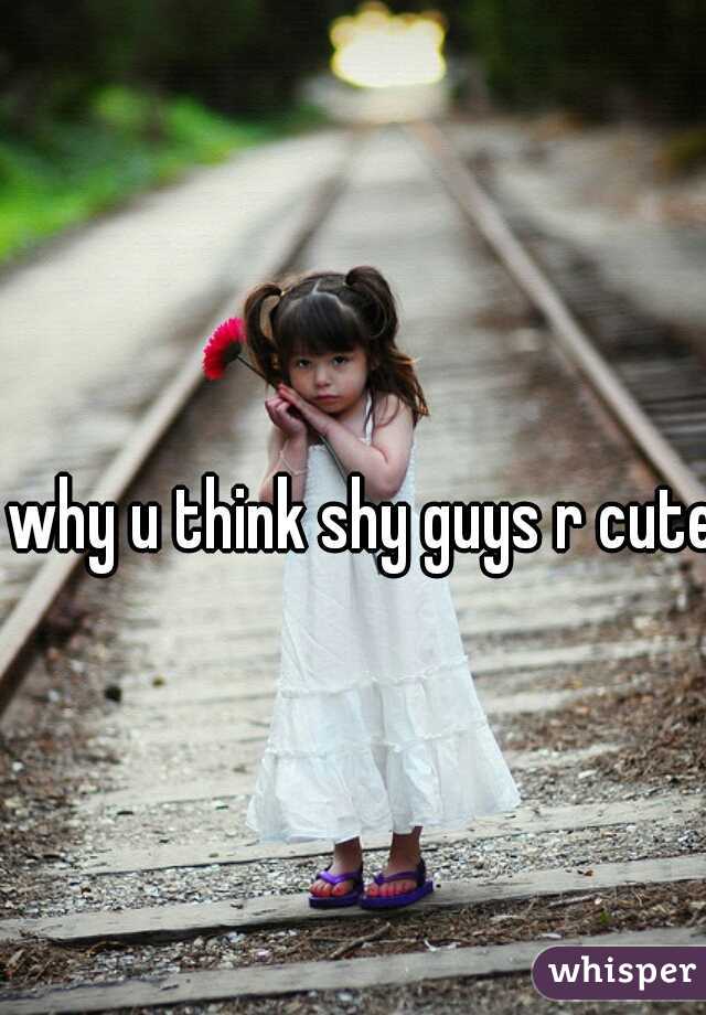 why u think shy guys r cute?
 