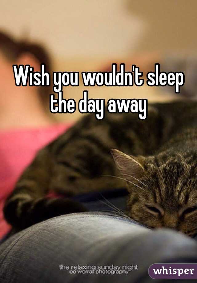 Wish you wouldn't sleep the day away