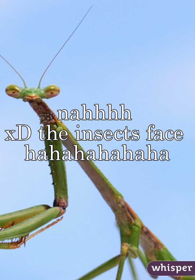 nahhhh 
xD the insects face 
hahahahahaha