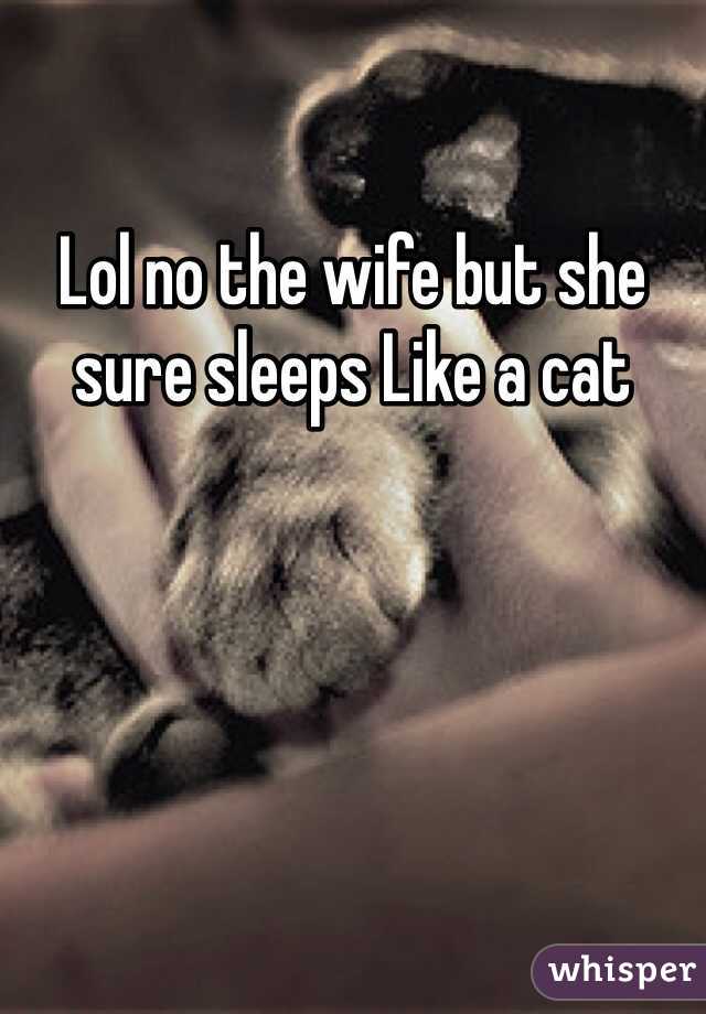 Lol no the wife but she sure sleeps Like a cat