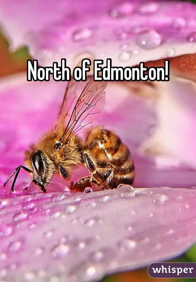 North of Edmonton!
