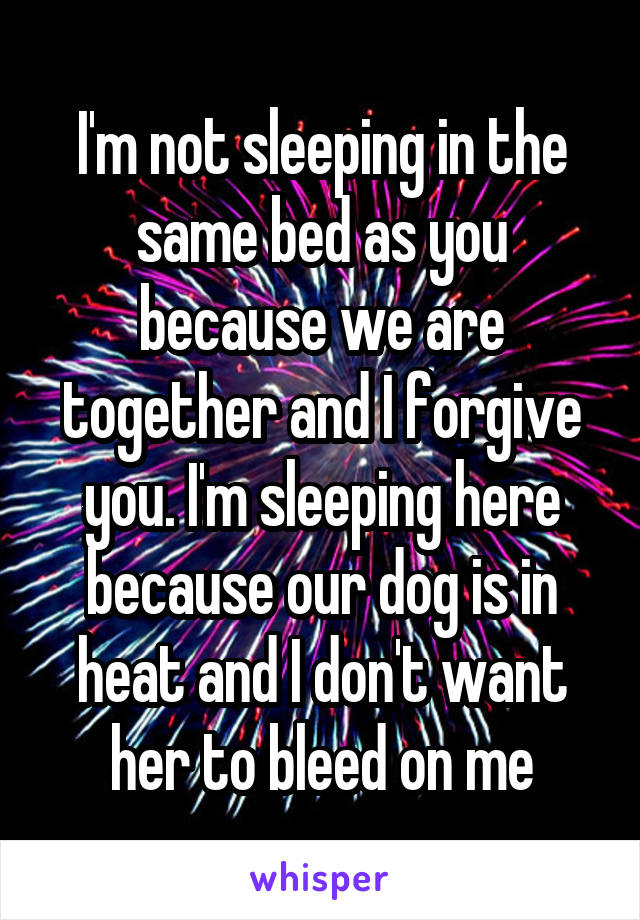 I'm not sleeping in the same bed as you because we are together and I forgive you. I'm sleeping here because our dog is in heat and I don't want her to bleed on me