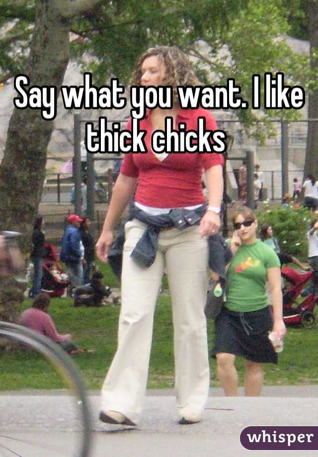 Say what you want. I like thick chicks 